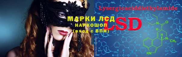 шишки Алзамай