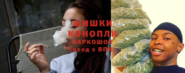 шишки Алзамай