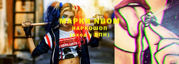 шишки Алзамай