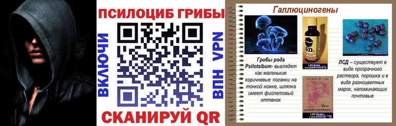 Псилоцибиновые грибы Psilocybine cubensis  наркотики  Томмот 